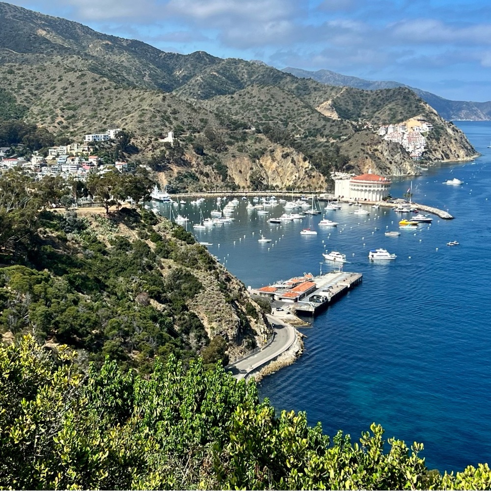 Meet your Posher, Evan